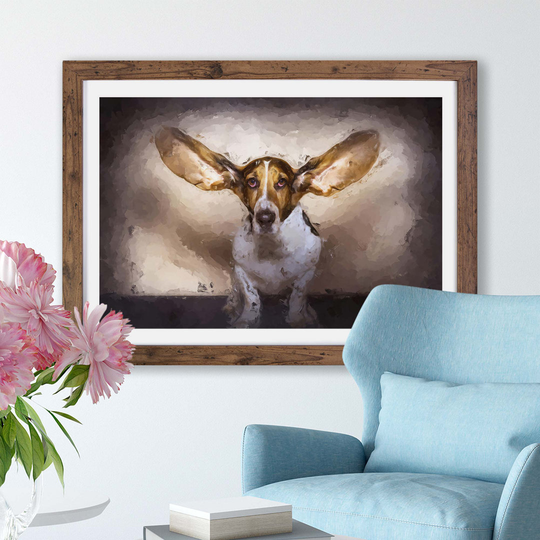 The Ears of a Basset Hound Dog - Framed Print