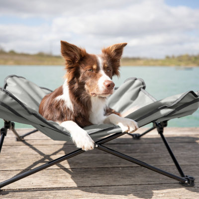 TRIXIE Camping Cot for Medium Dogs up to 80 lbs, Elevated Portable Pet Bed, Foldable Frame, Removable Padded Top