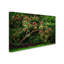 «The Apple Tree», reproduction de photo sur toile tendue-2122090196