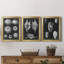 Alabaster Shells IV - Ensemble de 3 peintures sur toile encadrées-984352680-984352693