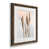 Noyer
