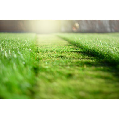 " Mowing The Lawn "