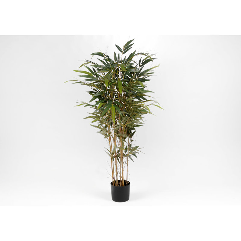 150cm Bamboo Tree in Pot