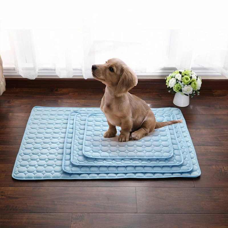 Leticia Suede Pet Bed, 35cm W x 26cm D