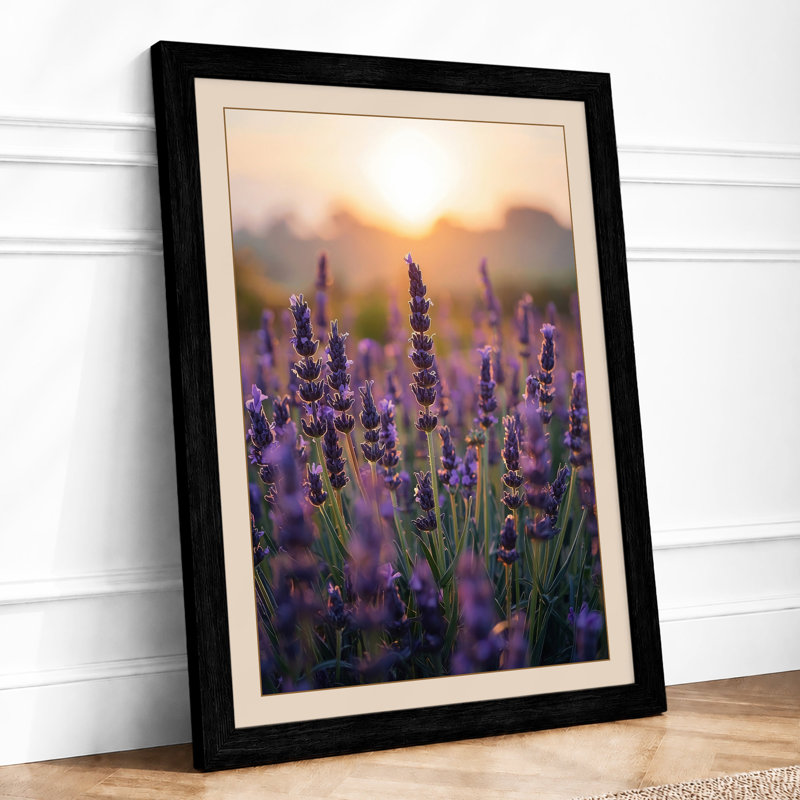 Lavender at Dawn Botanical - Framed Print, Black, A4 - 29.7 x 21.0 cm