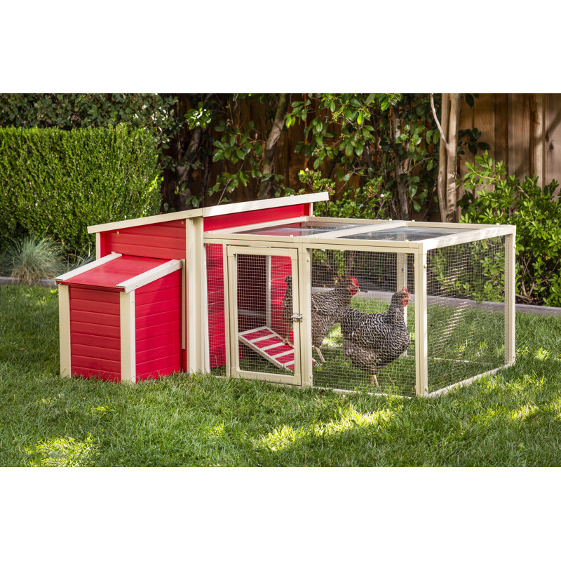 Poulailler Achilles et enclos, Rouge
