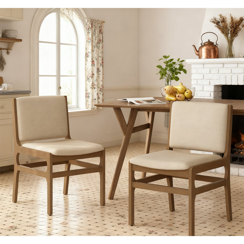 Modern Accent Dining Chairs