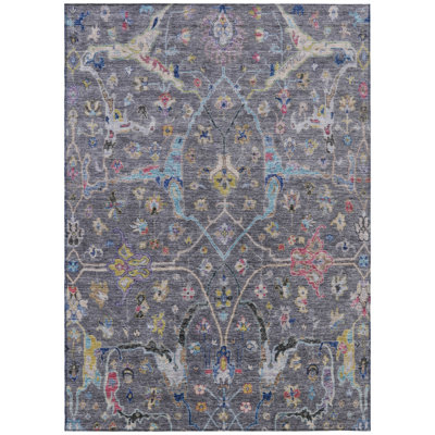 Machine Washable Indoor/Outdoor Kaczor ACN2232 Global Rug