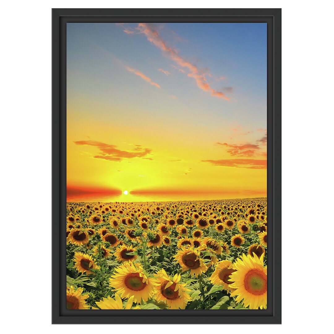 Gerahmtes Wandbild Sonnenuntergang Sonnenblumen