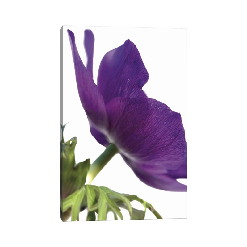 Floral Saturation III by Boyce Watt - Wrapped Canvas Print