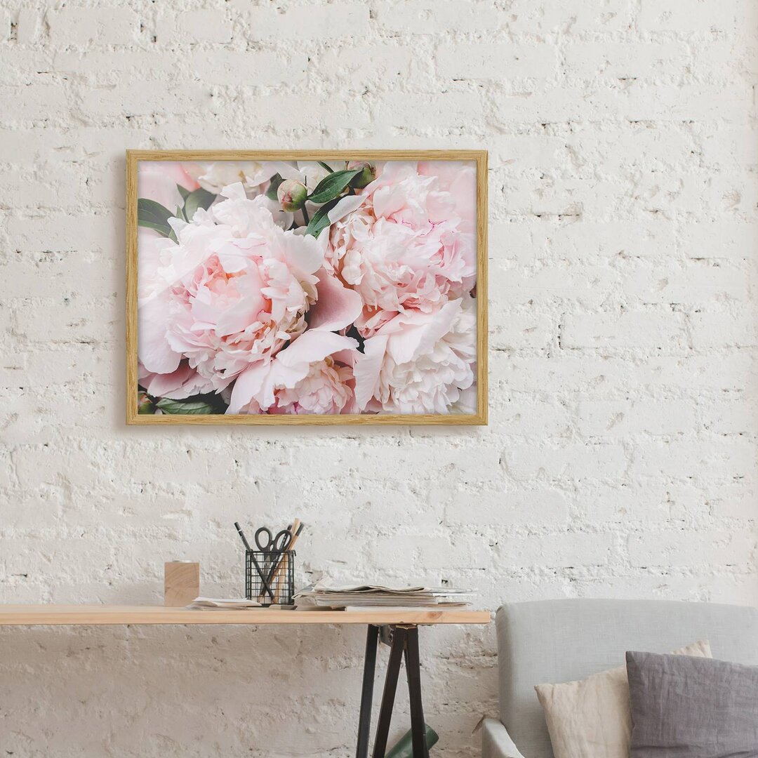 Gerahmtes Poster Peonies Light Pink