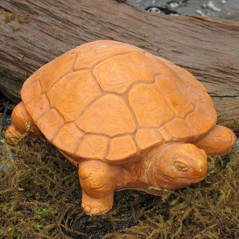 Water Turtle Statue, Terra Cotta