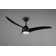 Madiun 1155cm Ceiling Fan with LED Lights