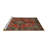 Oriental Indoor Rug-16916928
