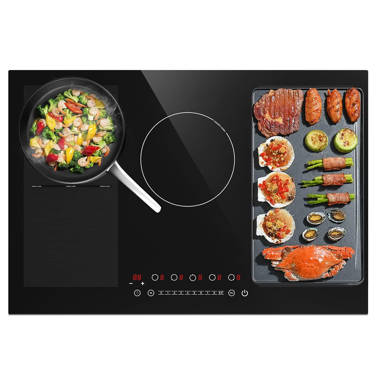 VEVOR 24 2 Burner Induction Cooktop