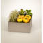 Geometric Cabbage Roses Floral Arrangement in Planter-1375873582