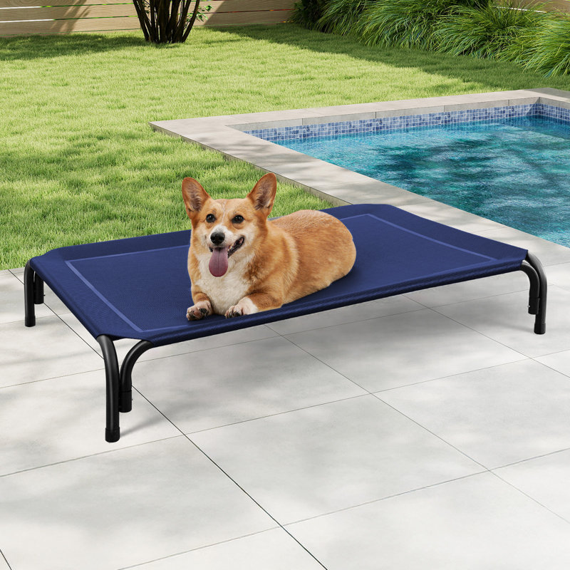 Lit pour chien surélevé intérieur / extérieur avec pieds antidérapants, TG, Bleu