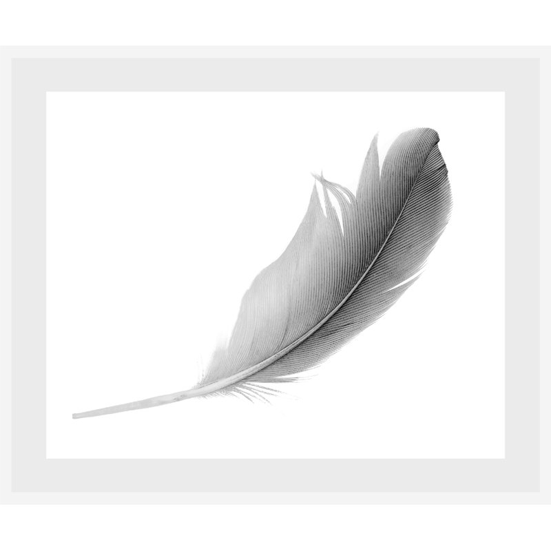 Feder - Single Picture Frame Print