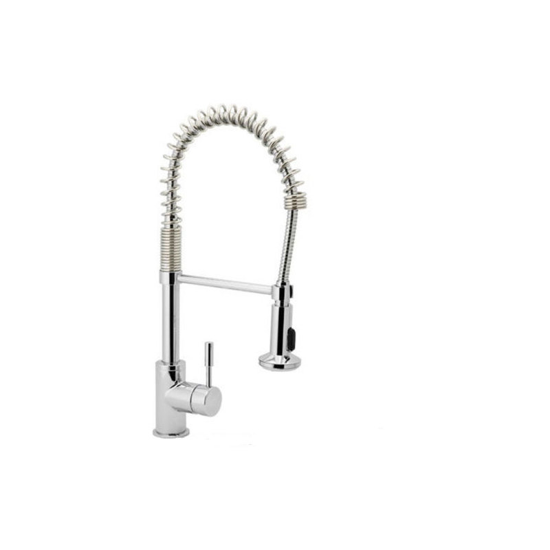 Belfry Kitchen Cassian Kitchen Faucet