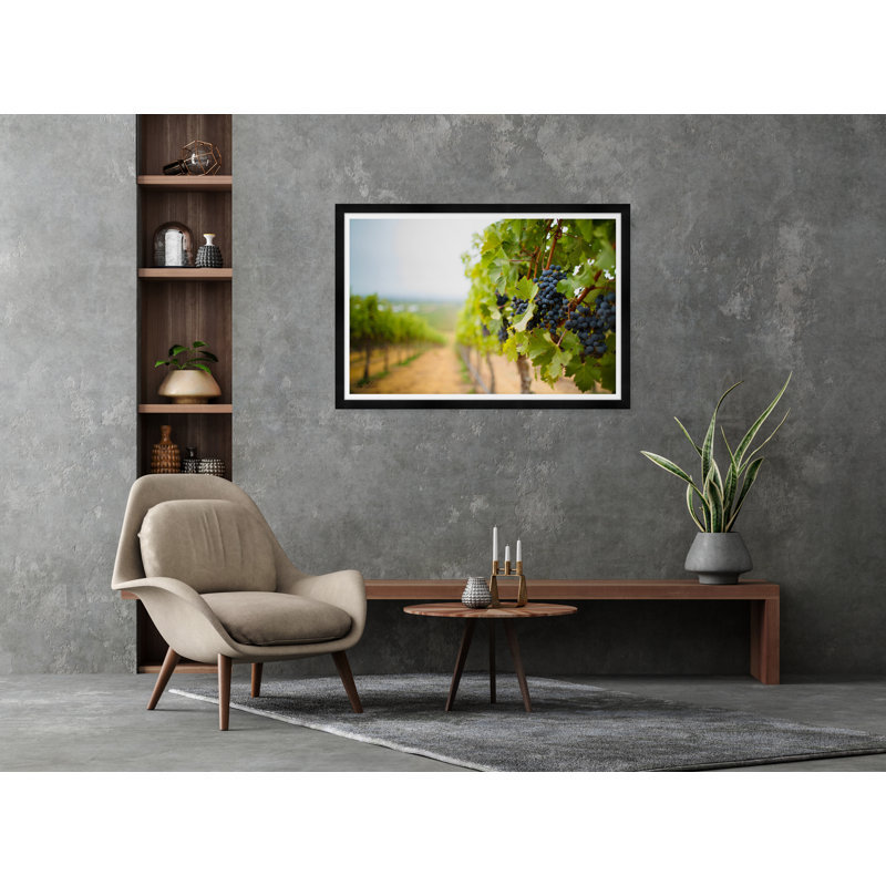 Grapes in The Vineyard Framed Photographic Print