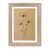 French Oak is out of stock