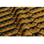 One-of-a-Kind 81x113 Hand Knotted Area Rug