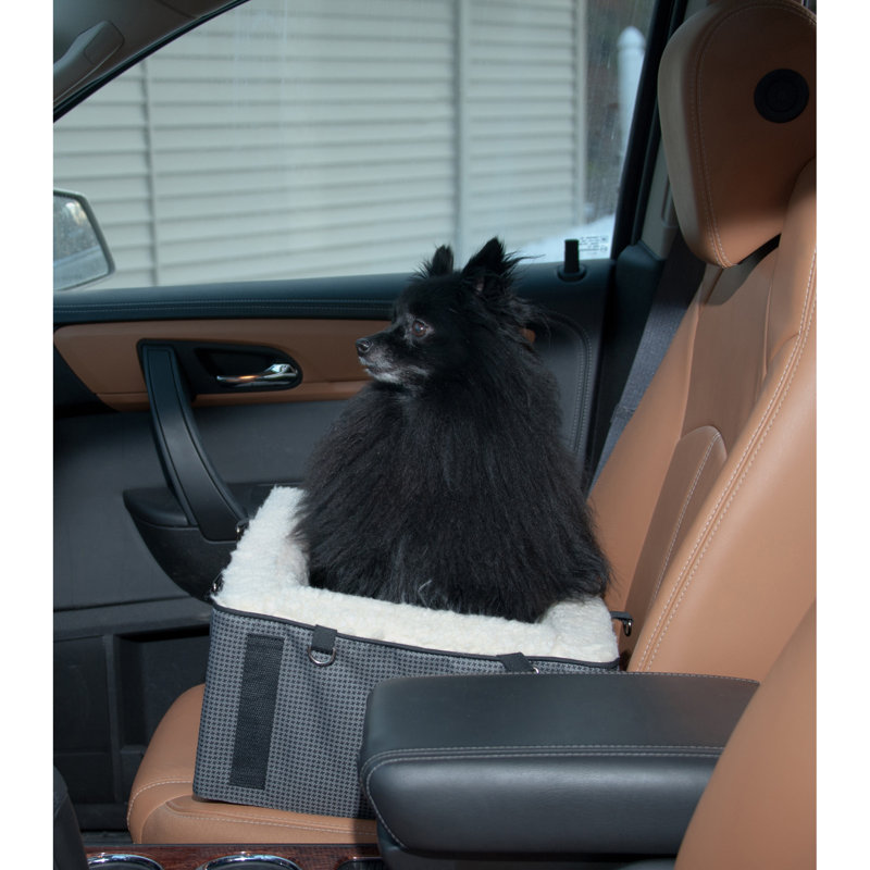 Booster Car Seat