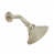 Polished Nickel selected