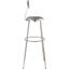 Backed Adjustable Height Ergonomic Lab Stool Footring-58829975-58829977