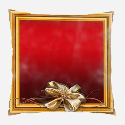  Coussin intérieur / extérieur Frame