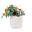 4 Cream Color Glossy Ceramic Planters, Ideal For Different Settings, Heat - , With Drainage Plant Growth, 37.24 Lb Weight Pieces Flowerpot, Modern Planter Patio, Garden Or Windowsill, All Weather ,