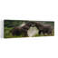 «Powerful Elephant Interaction», art mural contemporain-609224568