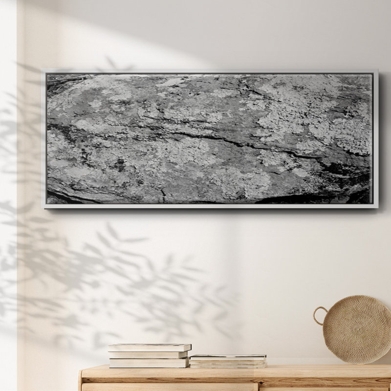 Found Textures XVI- Framed Canvas, 20" H x 50" W