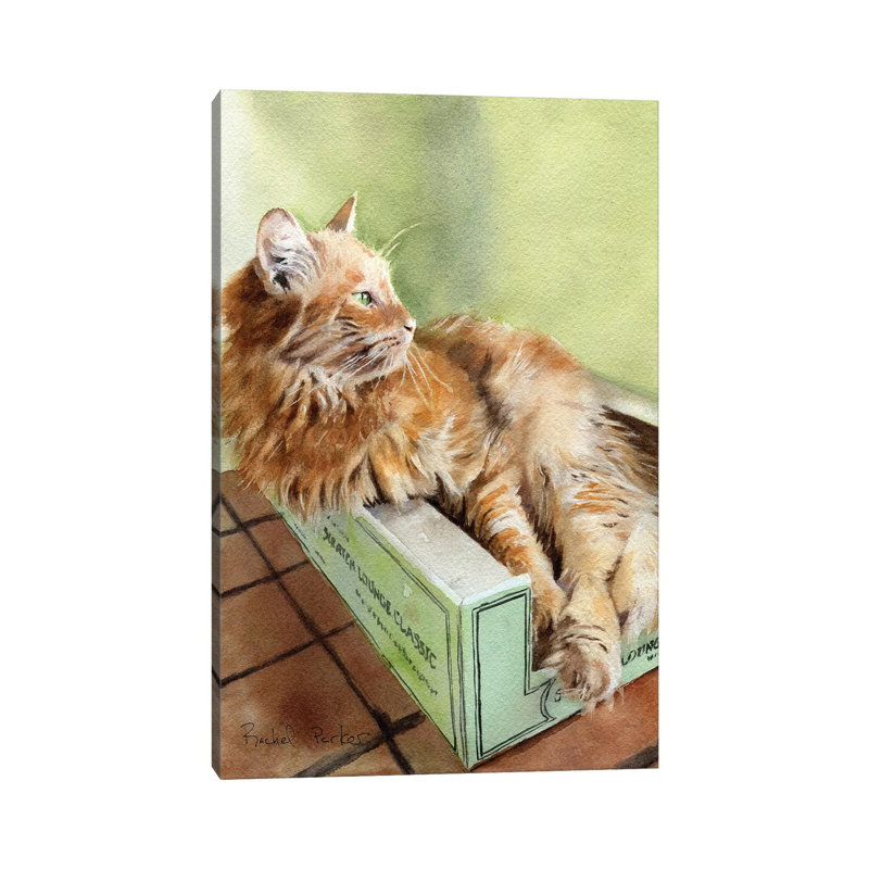 Tabby Green by Rachel Parker - Wrapped Canvas Gallery-Wrapped Canvas Giclée, 20.32 cm H x 30.48 cm W