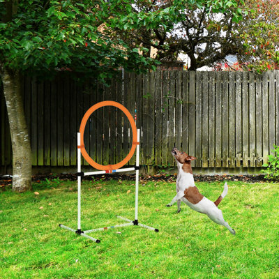 21 Dog Training Apparatus By - Plastic Tire Jump Ring And Hurdle Bar, White, Heavy-duty Construction, With Sports Storage Compartment