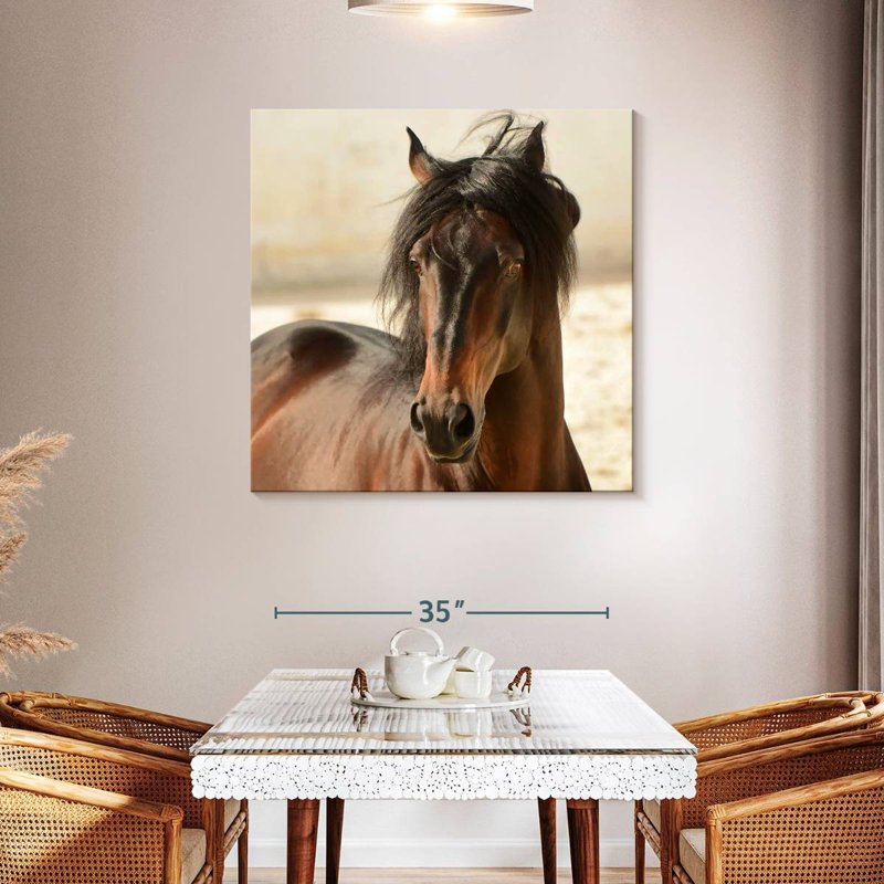 Brampt Brown Casanova, 39" H x 39" W