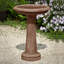 The Essential Birdbath-13918336