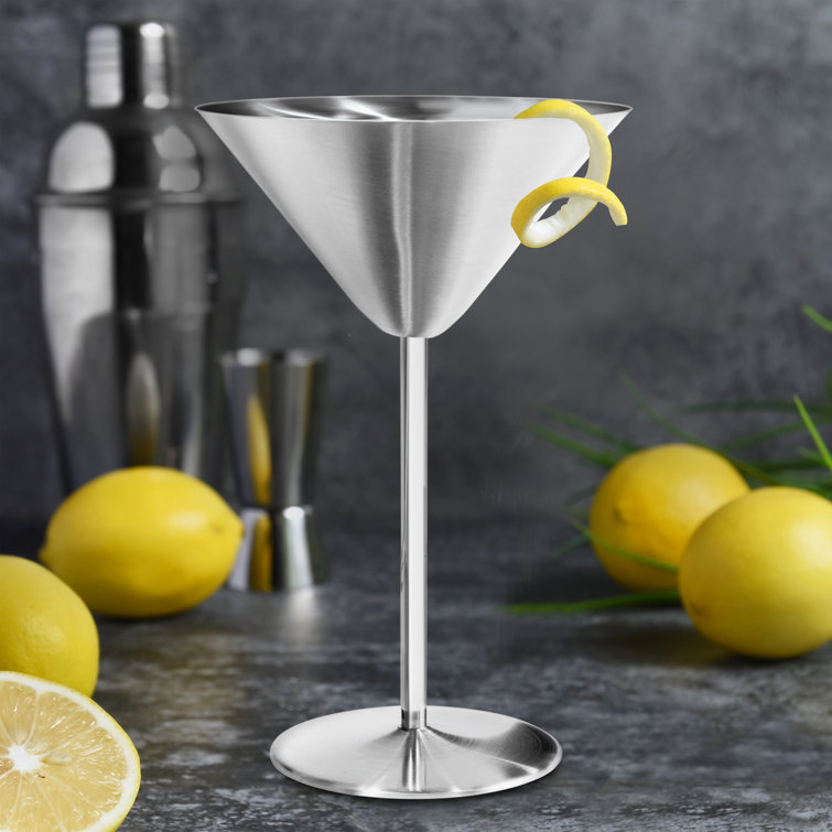 Stainless Steel Cocktail Shaker with 2 Stainless Steel Martini Glass Set