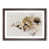 Walnut Framed selected