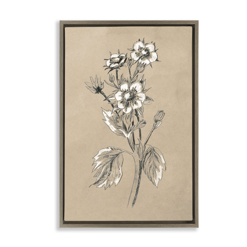 Dessin de fleur de pommier, toile flottante encadrée par June Erica Vess, H 25 po x l 17 po, Cadre flottant orme Montalcino