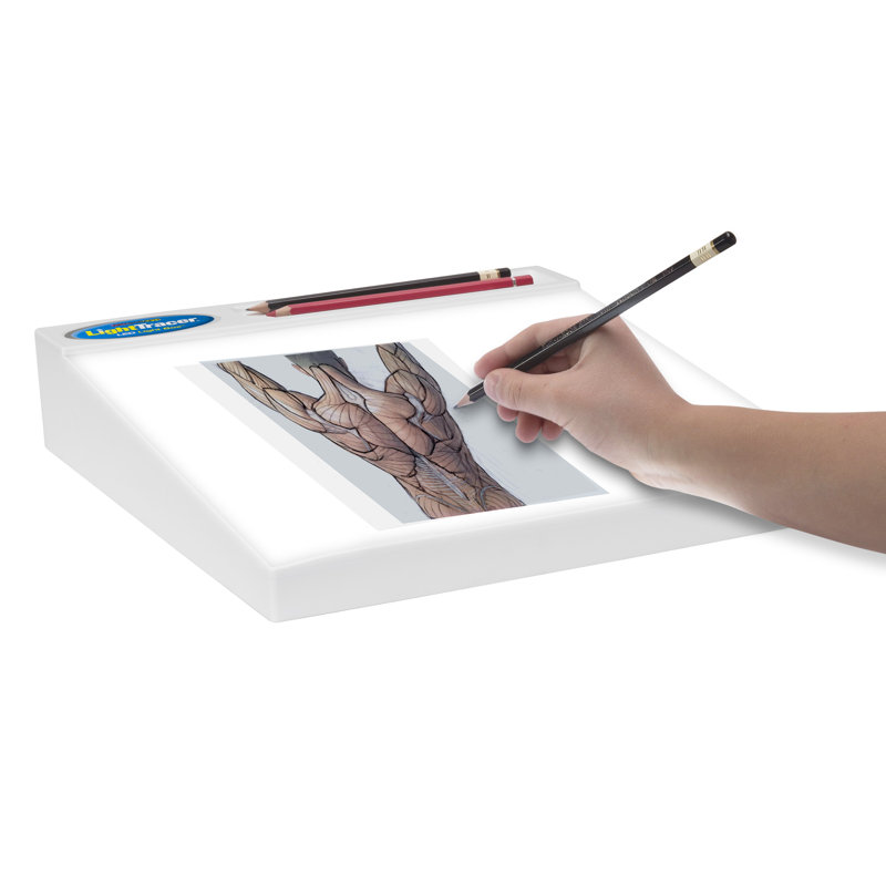 Tableau d'art DEL Lightbox, H 2,5 po x l 12,25 po x P 12 po