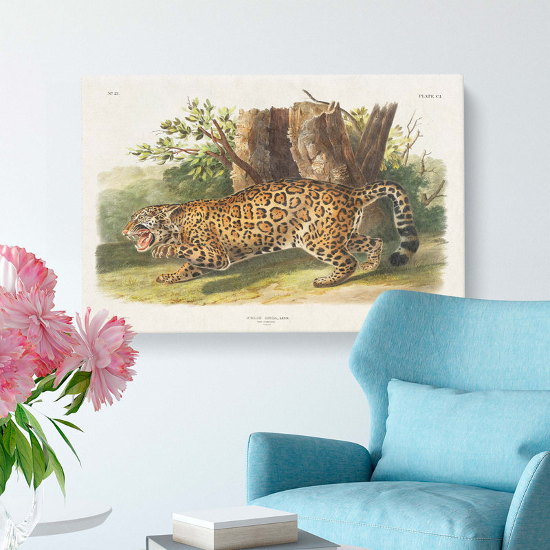 Jaguar by J.W. Audubon - Wrapped Canvas, 35cm H x 50cm W x 3cm D