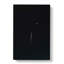 Airplane to the Moon - Wrapped Canvas-55368568