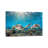 Fin Slapping by Jordan Robins - Print on Canvas-597993704-597993711