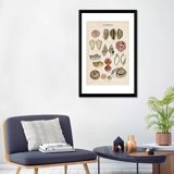" Seashell Sketch I " by Naomi McCavitt