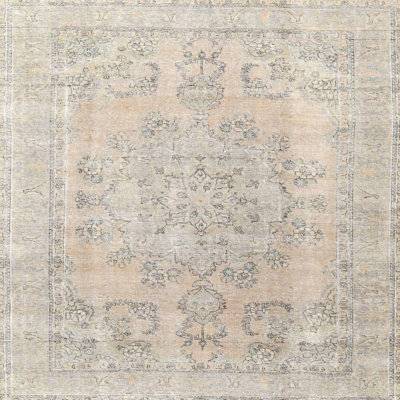 Oriental Indoor Rug
