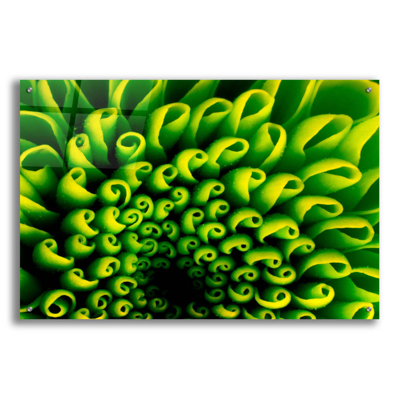 «Green Design 1» par PhotoINC Studio, H 24 po x l 36 po
