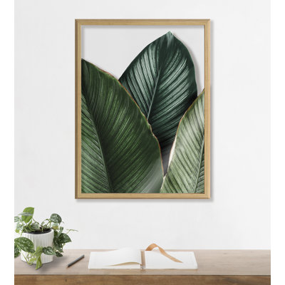 «Tropical Palm Leaves» par Amy Peterson, art mural en verre encadré