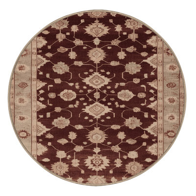 Machine Washable Overdyed Brown Area Rug