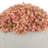 Rizal 9 " H Faux Plant in Fiberstone Pot